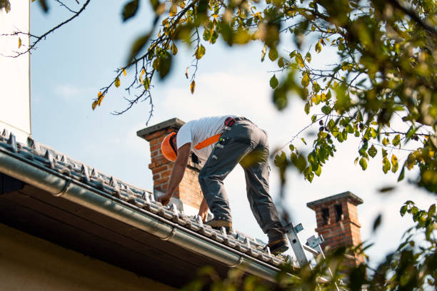 Best Emergency Roof Repair  in Nanticoke, PA