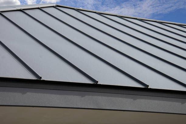 Best Roof Maintenance and Cleaning  in Nanticoke, PA